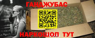 дмт Гатчина