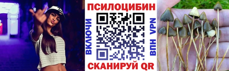 MEGA ТОР  Гуково  Псилоцибиновые грибы Cubensis 