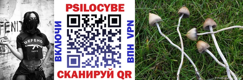 Галлюциногенные грибы Psilocybe Гуково