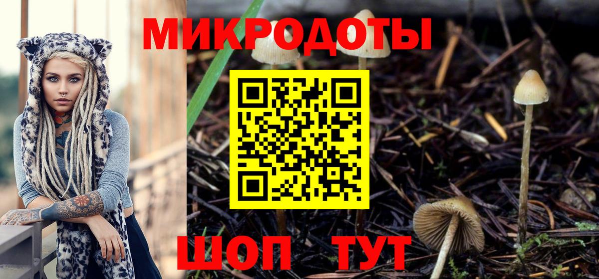 наркота  Псилоцибиновые грибы прущие грибы  Гуково  Псилоцибиновые грибы Psilocybine cubensis 