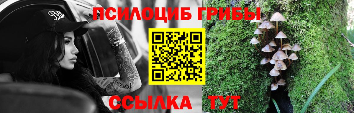 Псилоцибиновые грибы MAGIC MUSHROOMS Гуково
